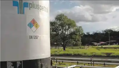 Vaca Muerta: la apuesta millonaria de Pluspetrol para superar los 100.000 barriles diarios