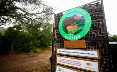 El Parque La Reina se prepara para su gran salto: llegan cuatro obras que cambiarán su historia