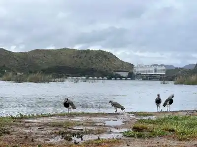 Miércoles gris en San Luis: ¿Llegarán las lloviznas a la región central?