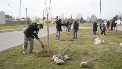 ¿Qué plantaron en el bulevar España y quién participó?