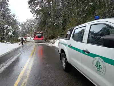 Alerta amarilla por nevadas en Bariloche: qué pasará este miércoles y por qué piden no circular