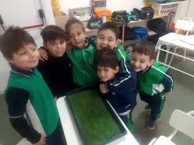 Cultivan sin tierra: el proyecto escolar que sorprende en la Feria de Ciencias