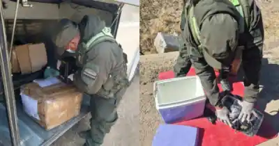 Encomiendas con "flores" desde Salta: el hallazgo que desató un operativo federal