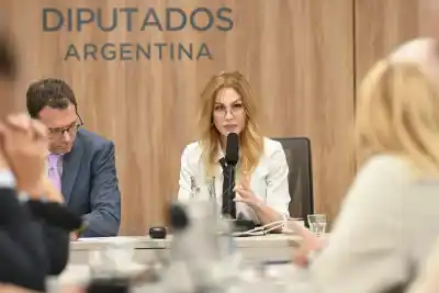 El insólito regalo de Lilia Lemoine: compró Chachos por internet y desató la polémica
