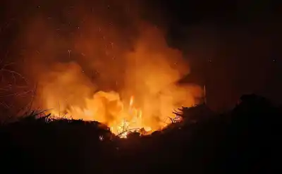 Alerta en Cerro Las Rosas: el fuego que mantuvo en vilo a los bomberos toda la noche