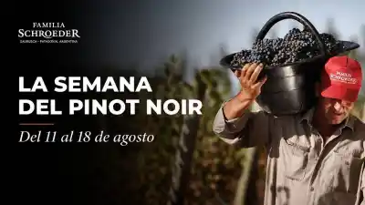 Pinot Noir, la joya patagónica que despliega su máximo esplendor en Neuquén: una agenda imperdible
