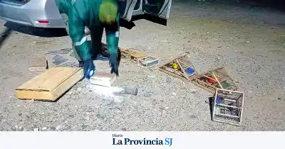 Rescataron 30 aves silvestres y secuestraron trampas en plena ruta sanjuanina
