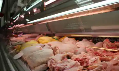 El drama del sector avícola en Salta: costos que suben, mercados que se cierran y una demanda que no afloja