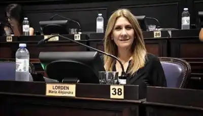 Eliminar el Senado bonaerense: la UCR marcó la cancha y puso condiciones