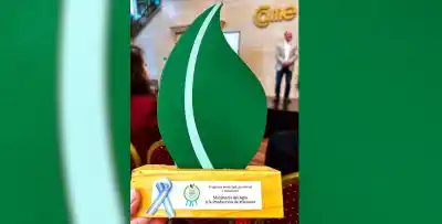 Misiones busca nuevos campeones de lo orgánico: abren las postulaciones para los Premios 2026