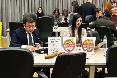 Alivio para celíacos y productores: dictamen unánime para bajar el IVA de la fécula de mandioca
