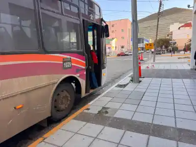 ¿Vuelven los recorridos viejos? La dura crítica de una concejal al nuevo transporte de Comodoro