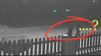 Aparece y desaparece sobre una verja: el video que tiene a todo Chubut preguntándose qué es
