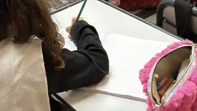 Vuelven las clases esta tarde: qué dijo el Consejo Escolar tras el temporal de nieve