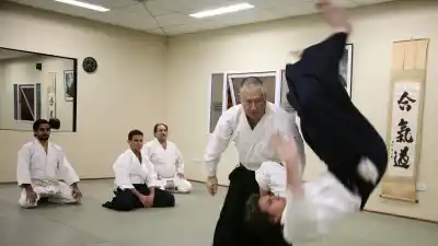 Aikido Godogeiko: el arte marcial que une a San Juan cumple 20 años