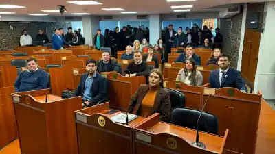 La Libertad Avanza se parte en dos: ocho votos a favor de la reforma de CAMYEN y dos en contra