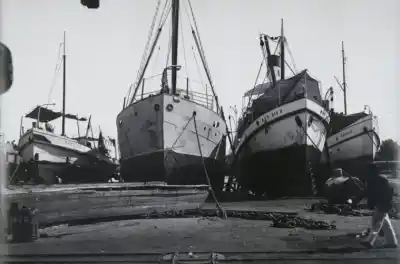 Presentan un libro que revela los secretos del Puerto Nuevo de Paraná