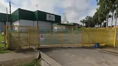 Crisis avícola: echan a 255 operarios de una histórica planta y el gremio habla de un plan para vaciarla