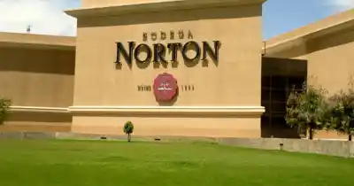 Imputan a directivos de Bodega Norton por una maniobra que habría perjudicado a una cooperativa