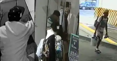 Ola de escruches en una sola cuadra: las cámaras captaron lo que nadie se esperaba