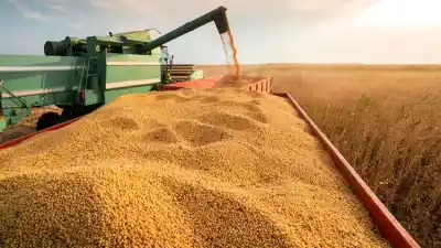 El plan que cambiará el agro santiagueño: ¿Qué hay detrás de las nuevas agencias territoriales?