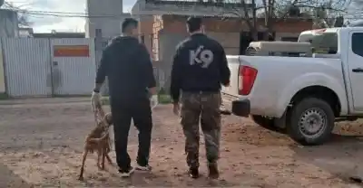 Rescataron a un perro atado y abandonado en un barrio de Resistencia: el hallazgo que conmocionó a los vecinos