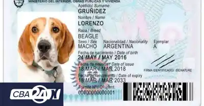 Villa María: el DNI para mascotas que puede costar hasta $844.000