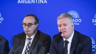La jugada del Senado que podría definir el futuro de causas calientes para el Gobierno
