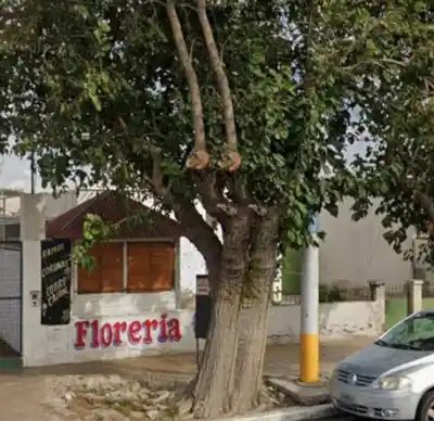 Robo insólito en Villa Krause: se llevaron una heladera de más de 1,70 metros