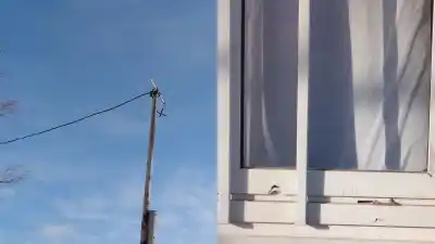 Escalaron postes de 9 metros: el insólito robo que dejó a oscuras a un club del Casco Viejo