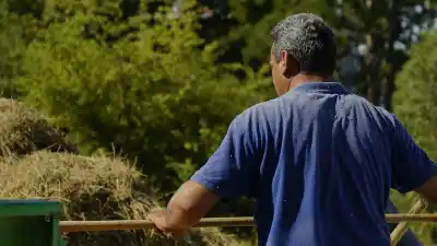 El nuevo sueldo de los peones rurales en agosto: cuánto cobran y qué viene después