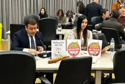 Un proyecto en Diputados busca aliviar el bolsillo de los celíacos: ¿qué propone?