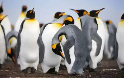 Volvió a su tierra natal con 47 imágenes que retratan la Patagonia como nunca la viste
