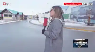 El puerto de Ushuaia que Milei se llevó por la fuerza: el informe que expone la maniobra