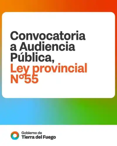 El plan fueguino para convertir desechos forestales en energía: ¿qué se sabe?