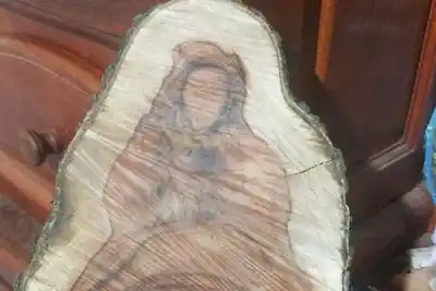 Hallazgo en un tronco conmueve a los fieles de la Virgen del Carballo