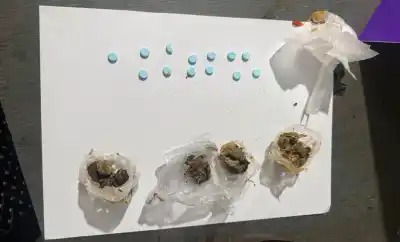 El insólito intento de un hombre por meter droga a una comisaría de Lastenia: qué escondía en los alfajores