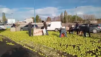 El drama de las rutas 22 y 151: los productores dicen que la producción ya no aguanta más