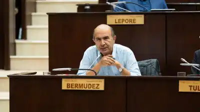 El plan para sumar cámaras privadas al monitoreo policial que impulsa un diputado neuquino