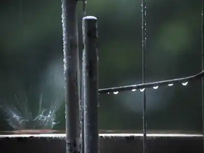 Alerta amarilla en Santa Fe: qué dice el SMN sobre el clima de este jueves
