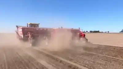 Alerta en el sur bonaerense: la siembra de trigo y cebada cayó 6% y preocupa a los productores