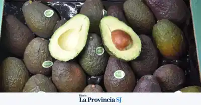 Pocito negocia con Chile para que la palta llegue más barata a San Juan