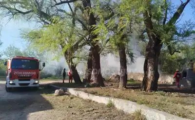 Alerta en Chijra: las llamas avanzaron 200 metros y nadie pudo explicar el origen