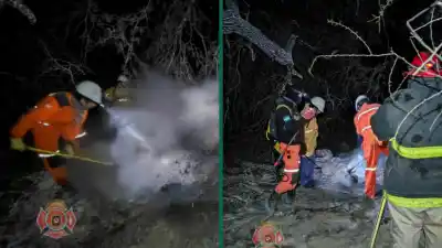 Alerta en Rincón: sofocaron un incendio de árboles cerca de la Ruta 46