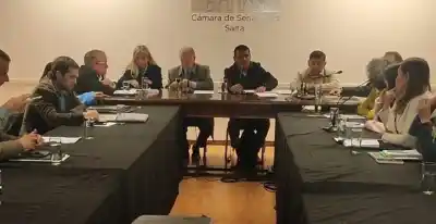 Ley Lola y otros tres proyectos: el Senado salteño se encamina a blindar los derechos de los animales