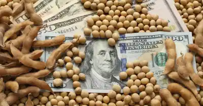 La estrategia del Mercado A3 para revertir una demanda millonaria por el dólar soja