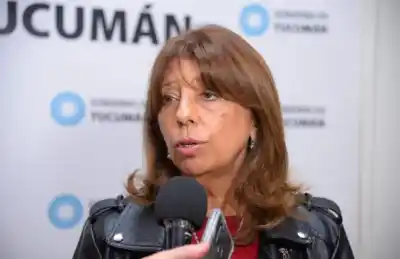 Lluvias y roedores: el doble desafío que enfrenta la educación tucumana