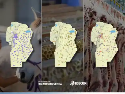 Córdoba actualiza mapas ganaderos: ¿qué datos revelan sobre la producción provincial?
