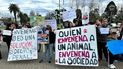 Cazan al envenenador: ofrecen millonaria recompensa por datos clave