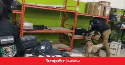 Con canes antidrogas y controles sorpresa: así fue el operativo que sacudió a las paqueterías de Caleta Olivia